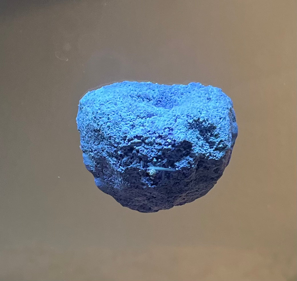 1-Plug Magnetic Frag Racks for Coral Growth