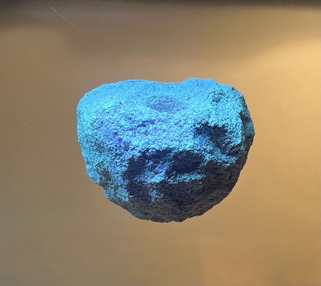 1-Plug Magnetic Frag Racks for Coral Growth