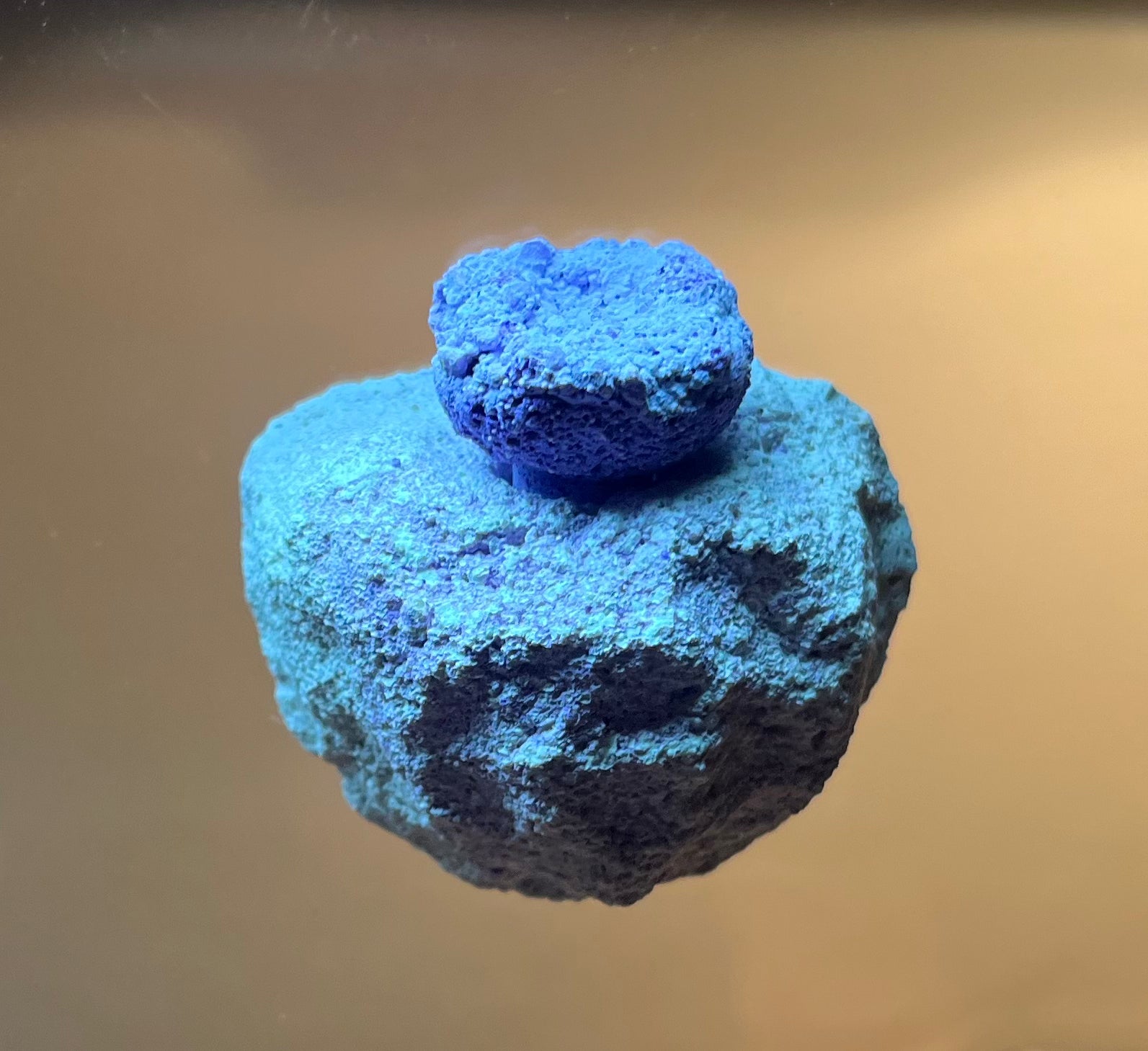 1-Plug Magnetic Frag Racks for Coral Growth