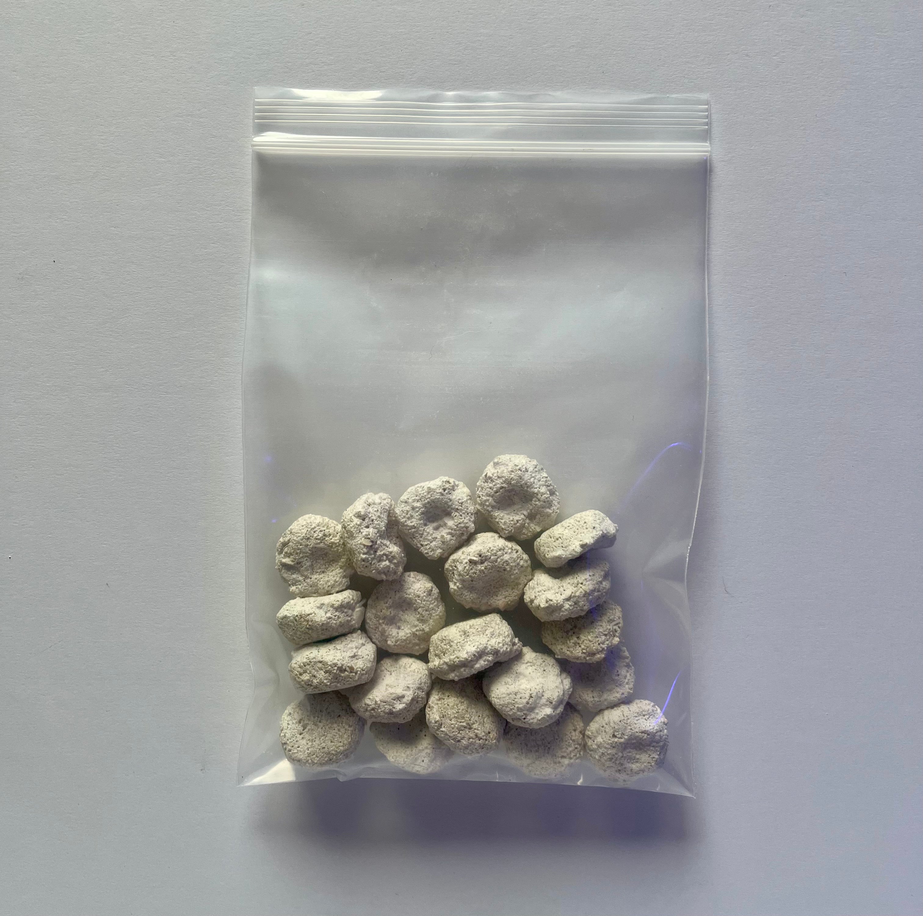 White Aragonite Frag Discs for Coral Growth – 1 Inch Frag Rock Discs