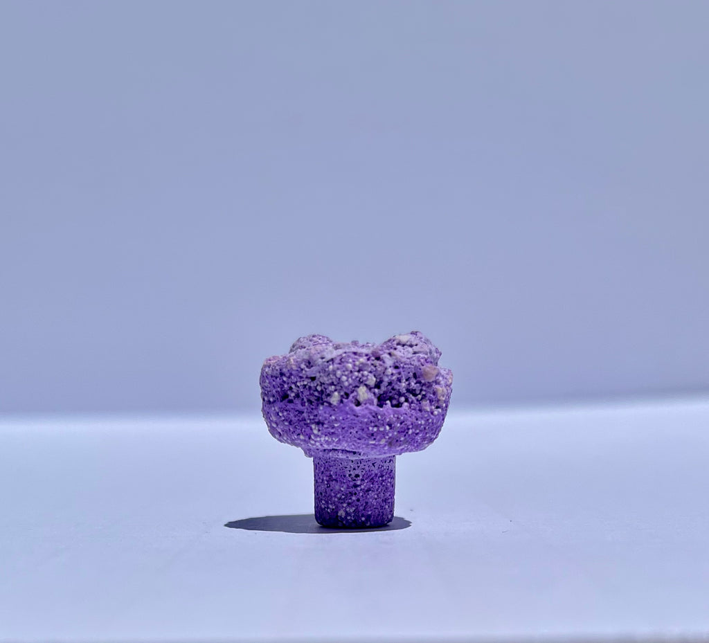 Frag Substrate Starter Pack - Assorted Frag Plugs and Frag Rock Discs
