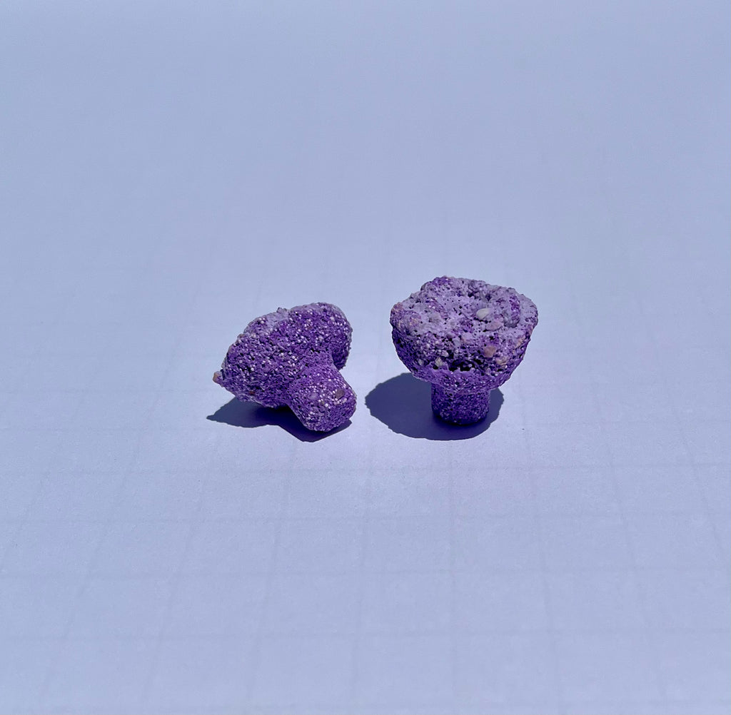 Frag Substrate Starter Pack - Assorted Frag Plugs and Frag Rock Discs