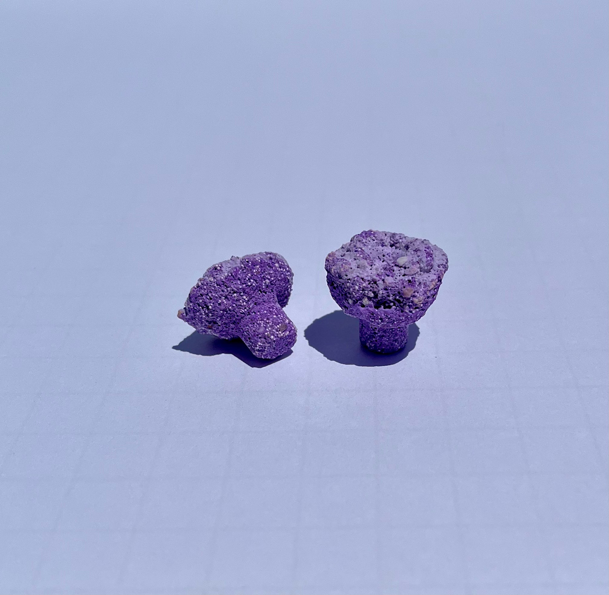 Frag Substrate Starter Pack - Assorted Frag Plugs and Frag Rock Discs