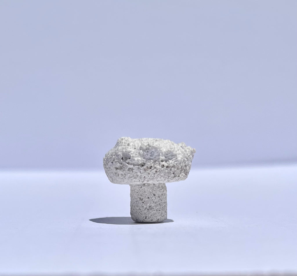 Frag Substrate Starter Pack - Assorted Frag Plugs and Frag Rock Discs