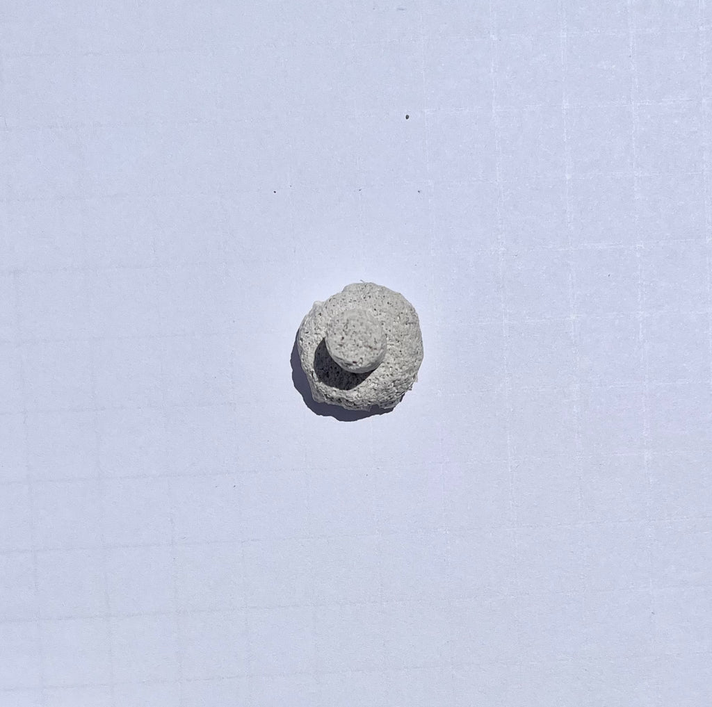 White Aragonite Frag Plugs for Coral Propagation – 1 Inch Frag Plugs