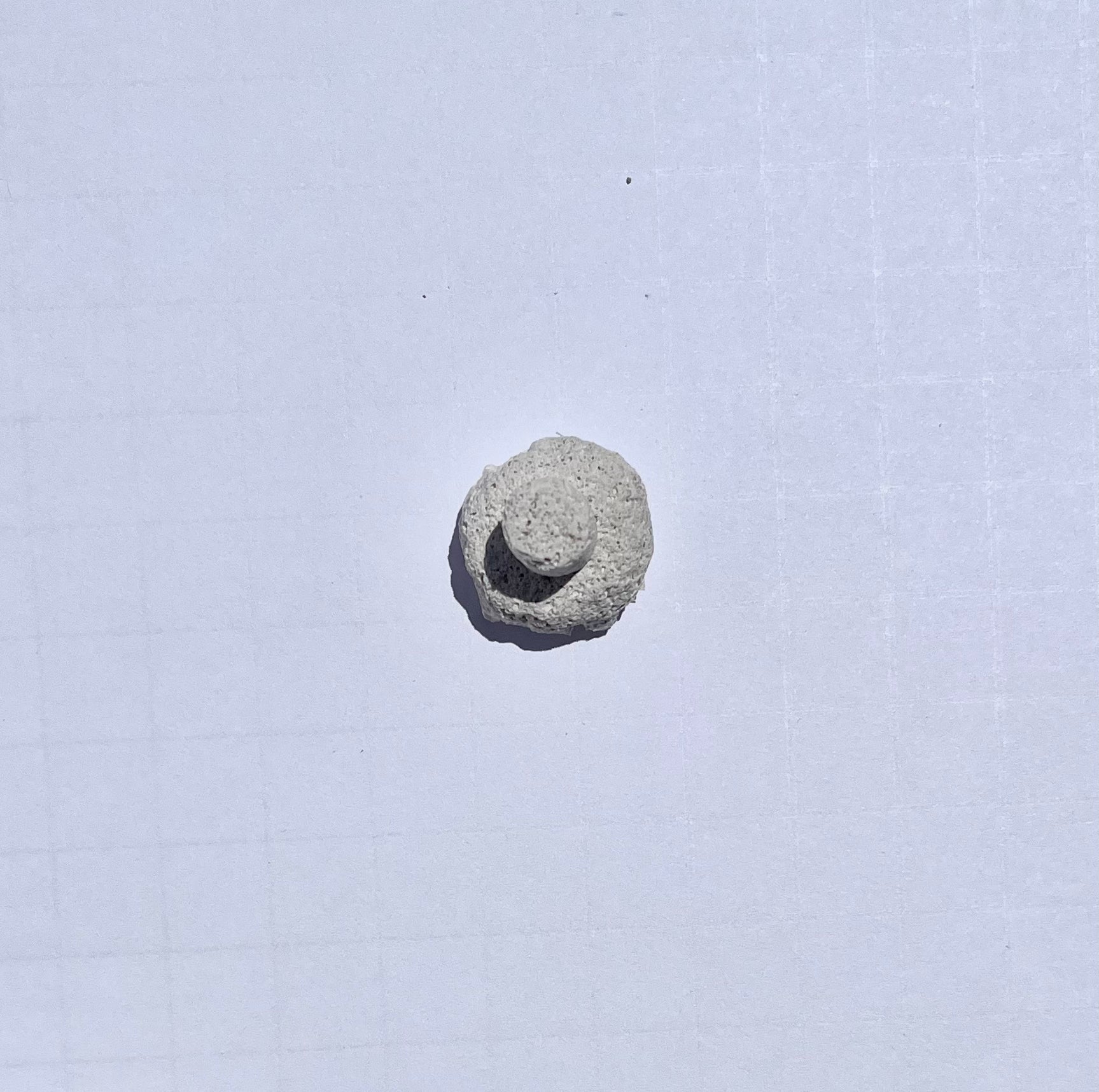 White Aragonite Frag Plugs for Coral Propagation – 1 Inch Frag Plugs