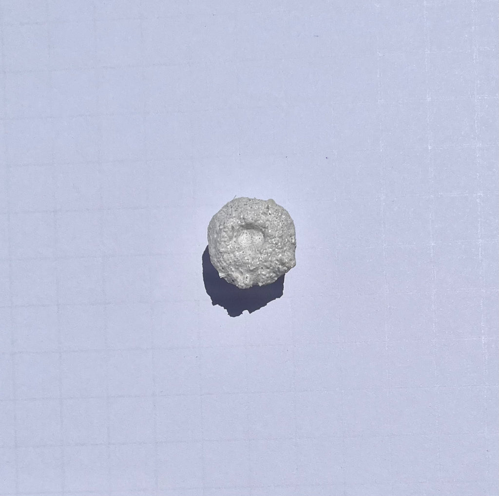 White Aragonite Frag Plugs for Coral Propagation – 1 Inch Frag Plugs