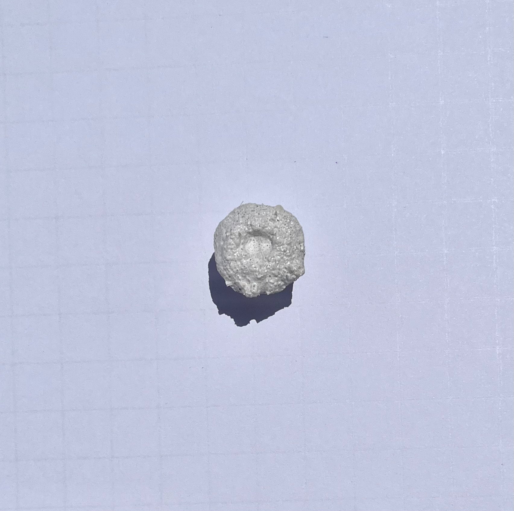 White Aragonite Frag Plugs for Coral Propagation – 1 Inch Frag Plugs