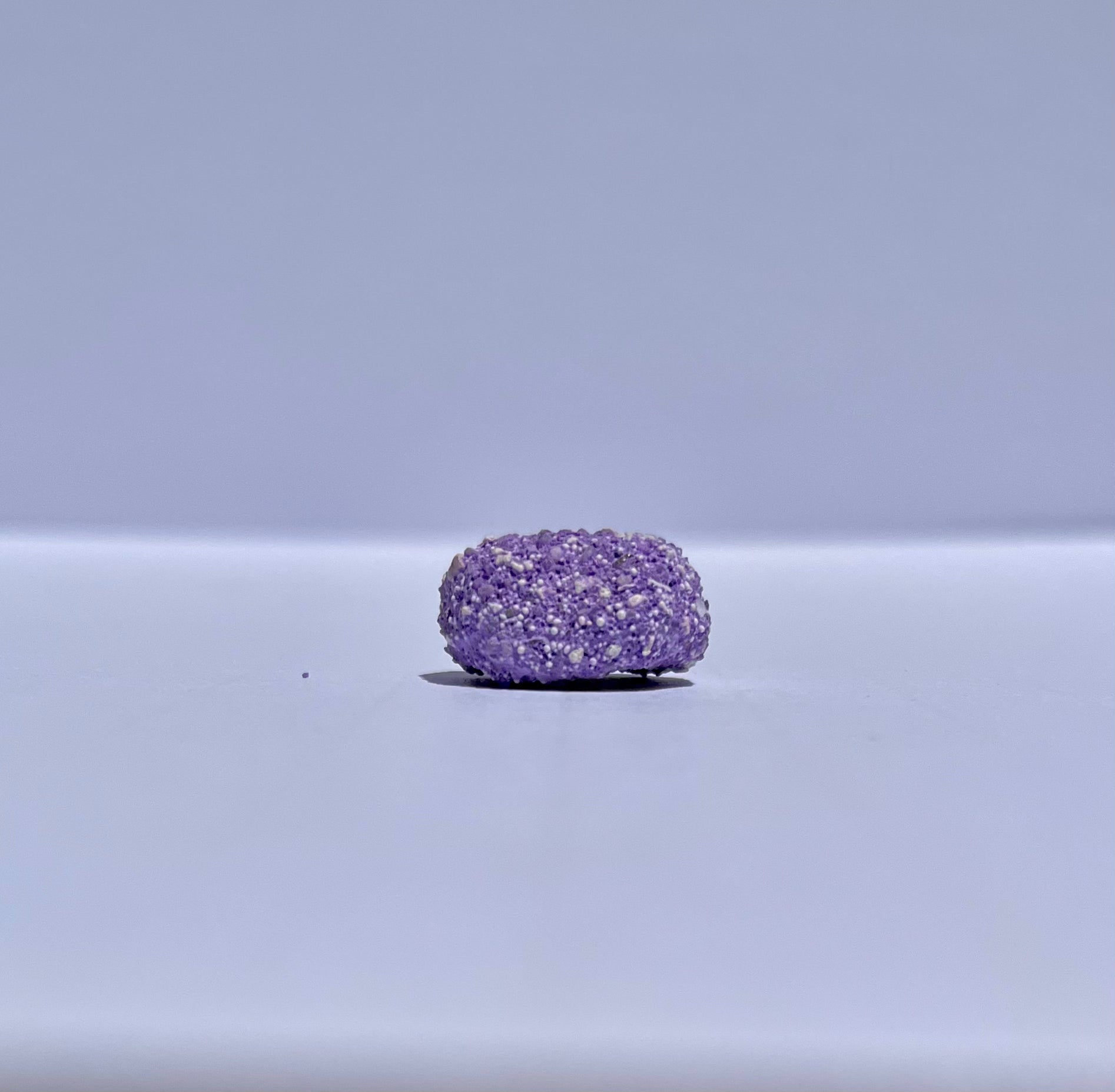 Frag Substrate Starter Pack - Assorted Frag Plugs and Frag Rock Discs