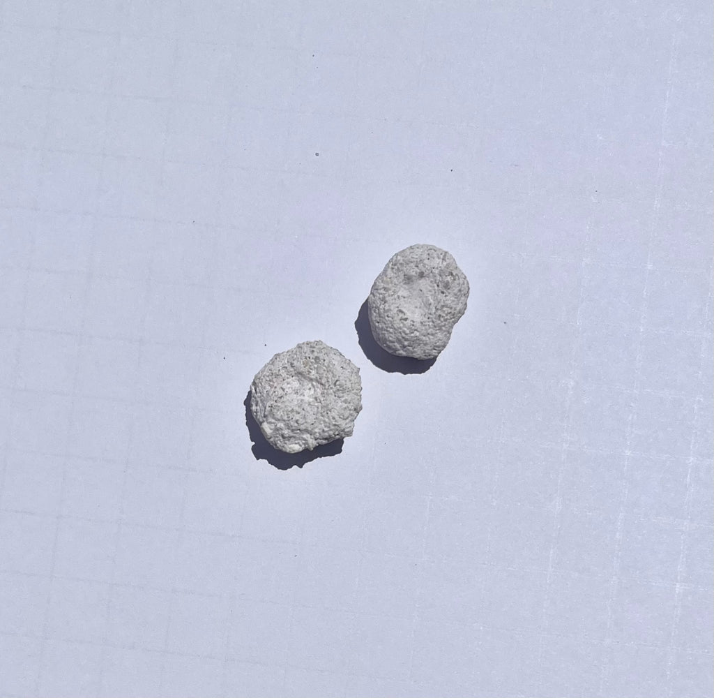 White Aragonite Frag Discs for Coral Growth – 1 Inch Frag Rock Discs