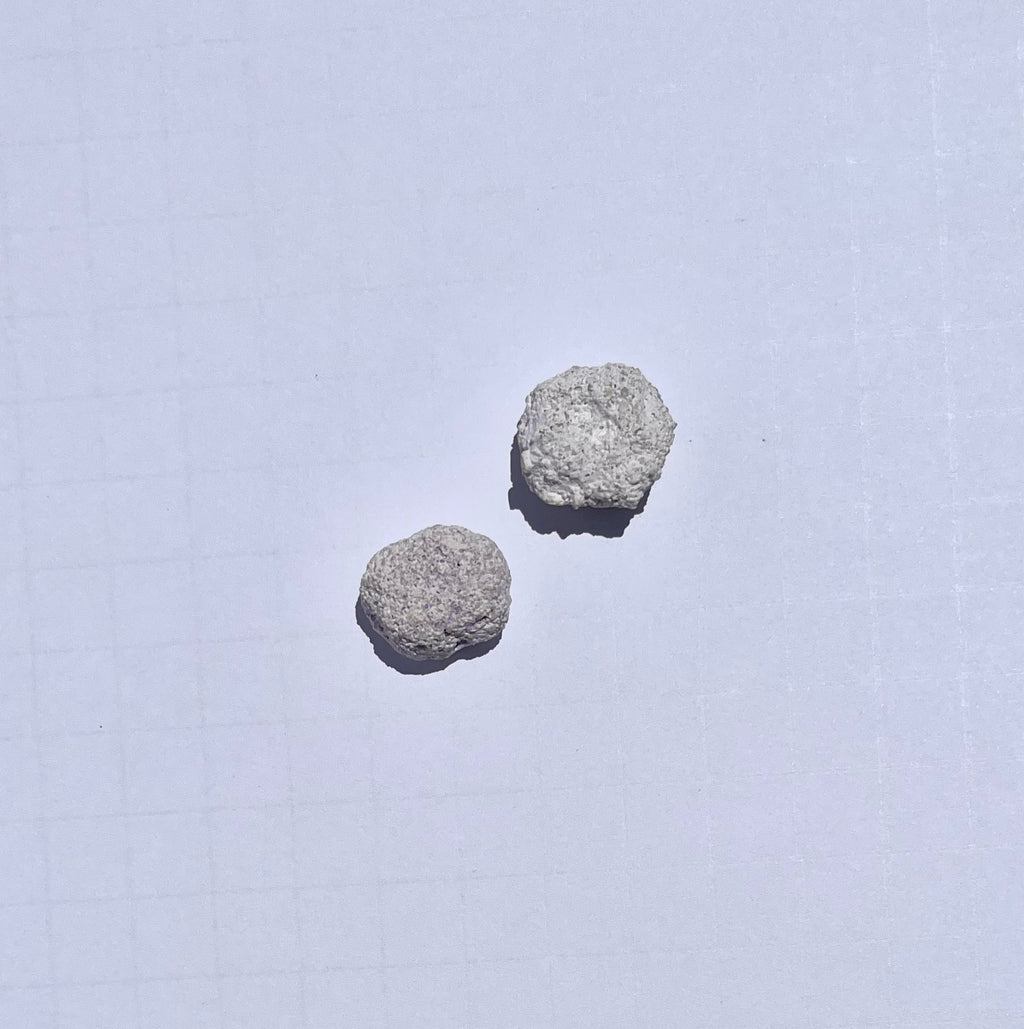 White Aragonite Frag Discs for Coral Growth – 1 Inch Frag Rock Discs