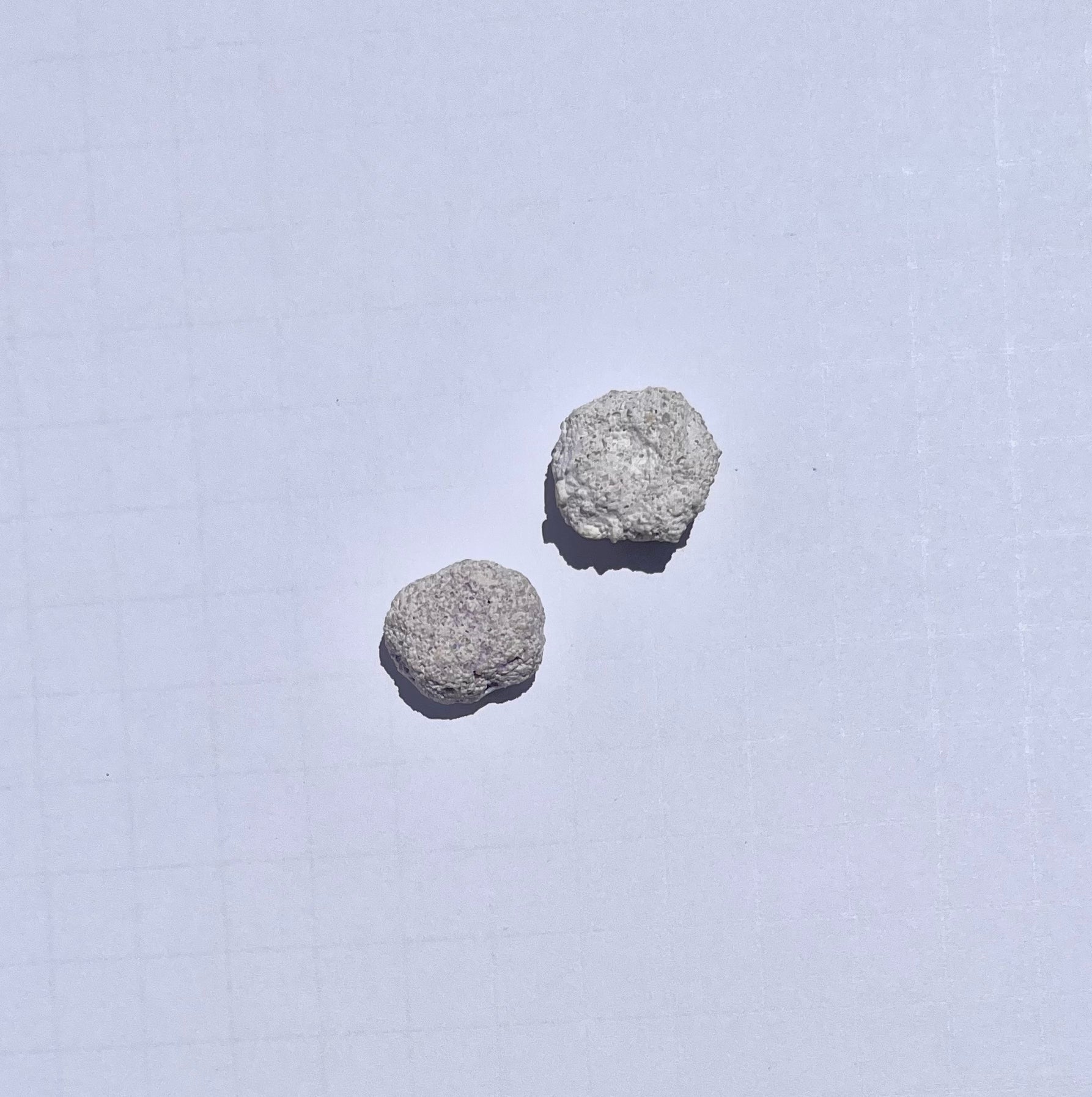 White Aragonite Frag Discs for Coral Growth – 1 Inch Frag Rock Discs