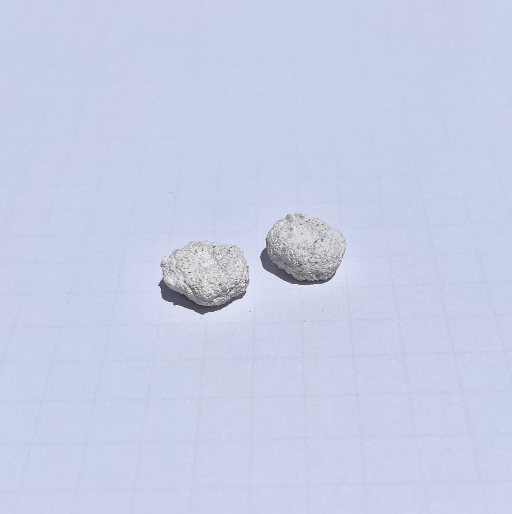 Frag Substrate Starter Pack - Assorted Frag Plugs and Frag Rock Discs