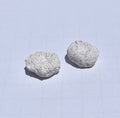 White Aragonite Frag Discs – 1" Coral Frag Mount Discs