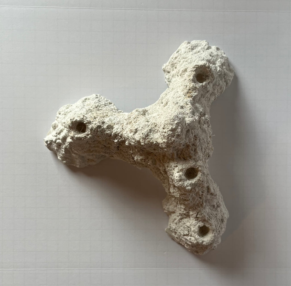 Dry Base Rock for Coral Frags — Aragonite Dry Rock with Frag Plug Holes