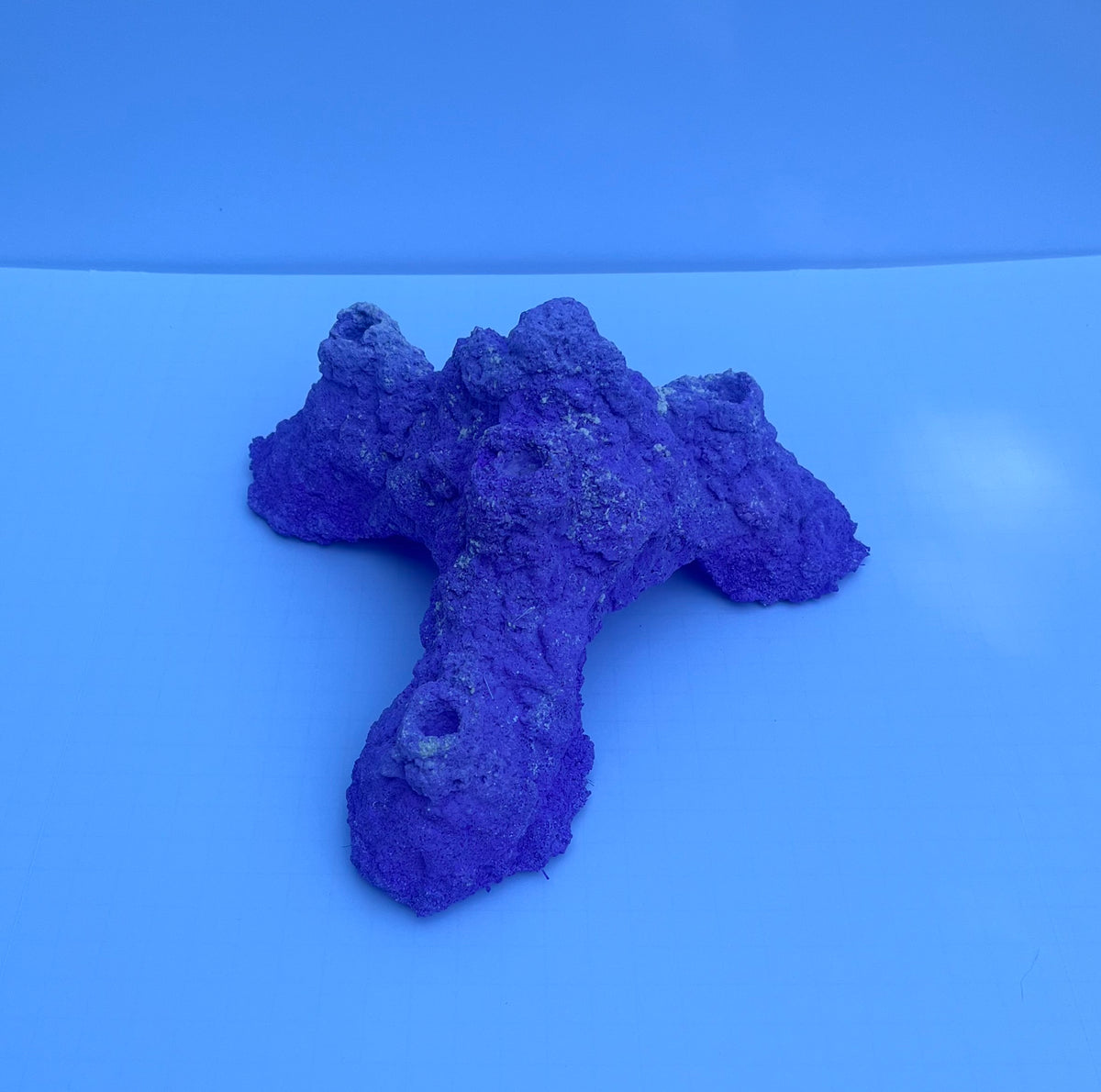 Dry Base Rock for Coral Frags — Aragonite Dry Rock with Frag Plug Holes