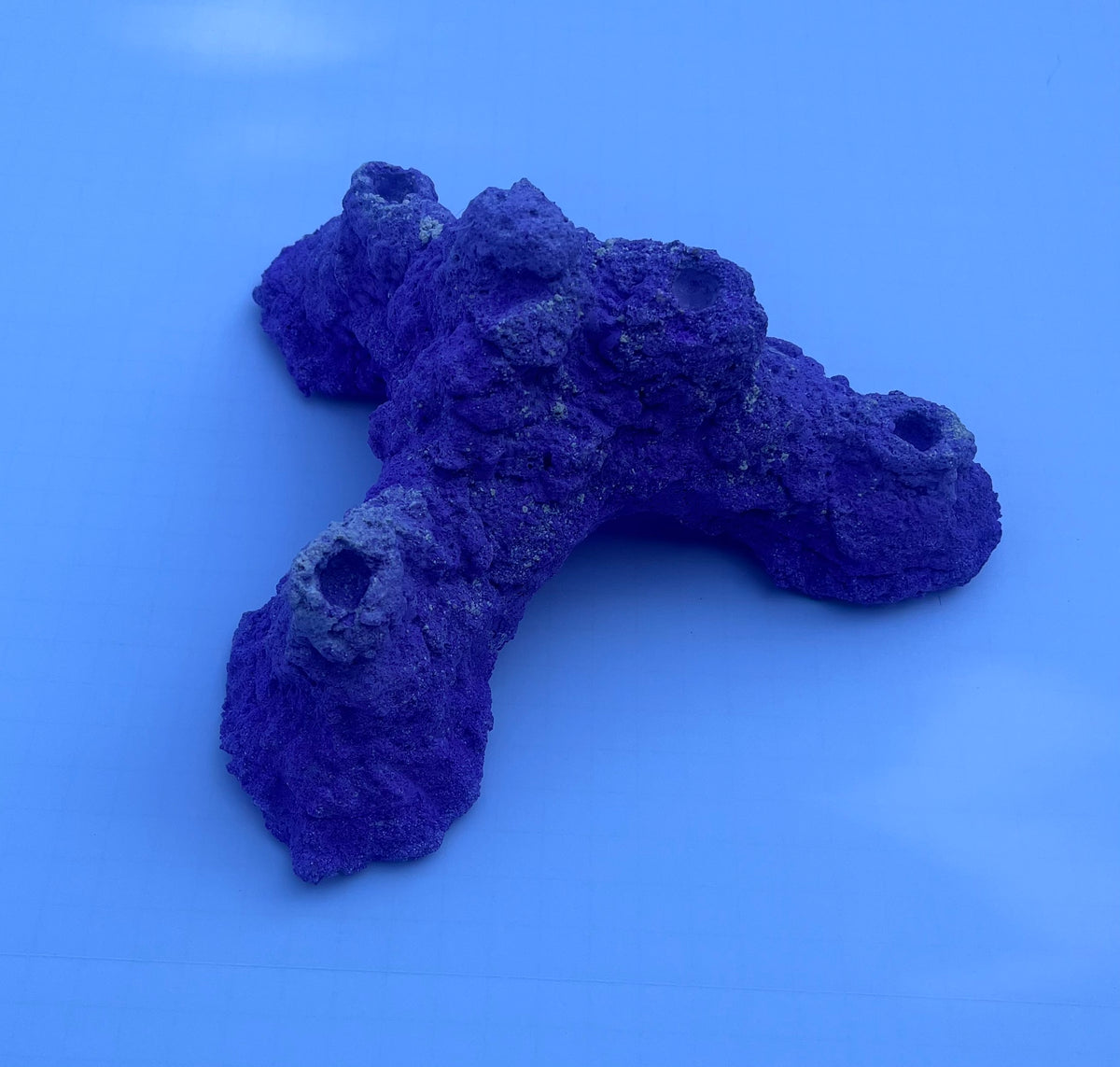 Dry Base Rock for Coral Frags — Aragonite Dry Rock with Frag Plug Holes