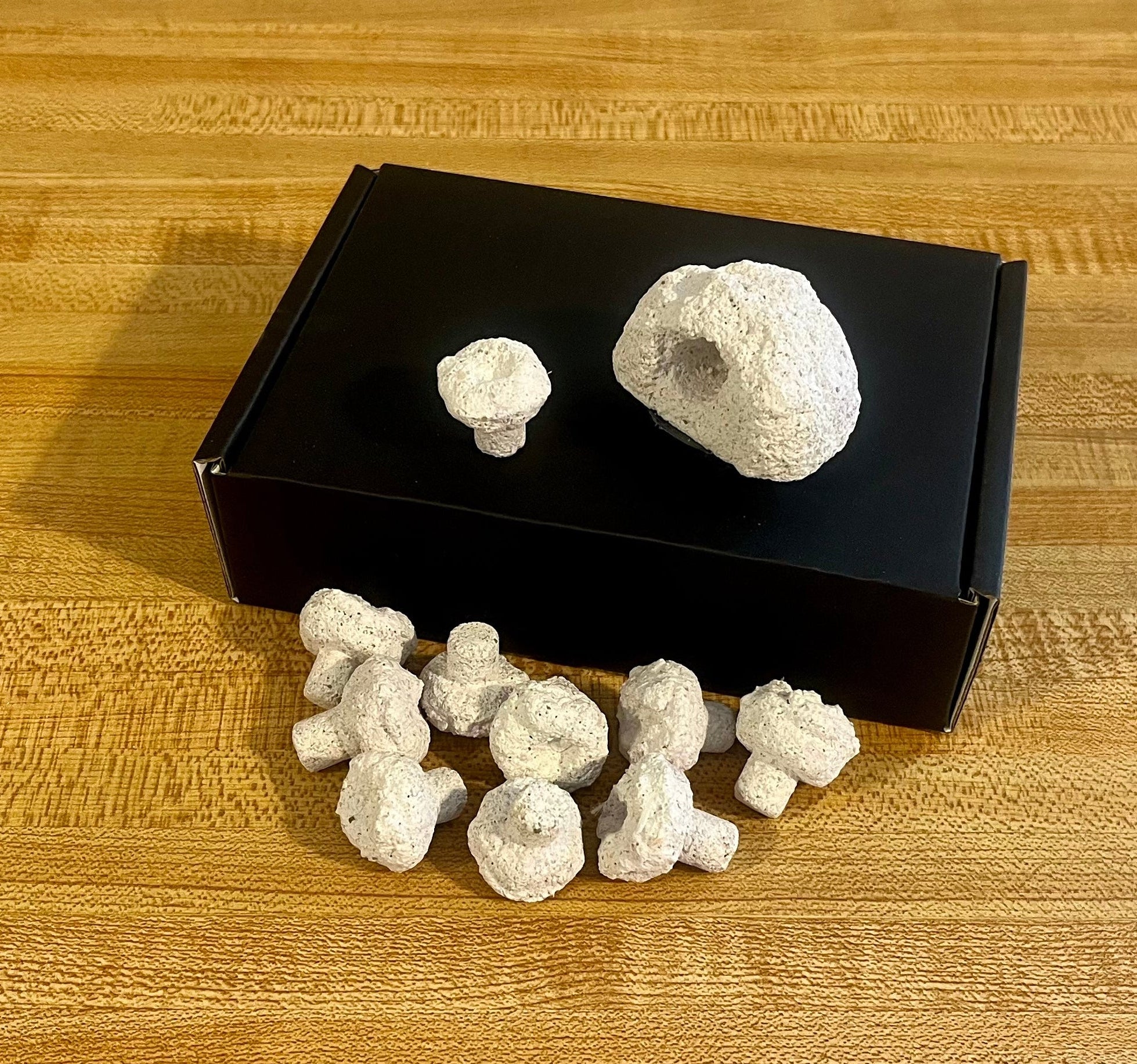 Magnetic Frag Mount Bundle — Magnetic Frag Rock + Frag Plugs