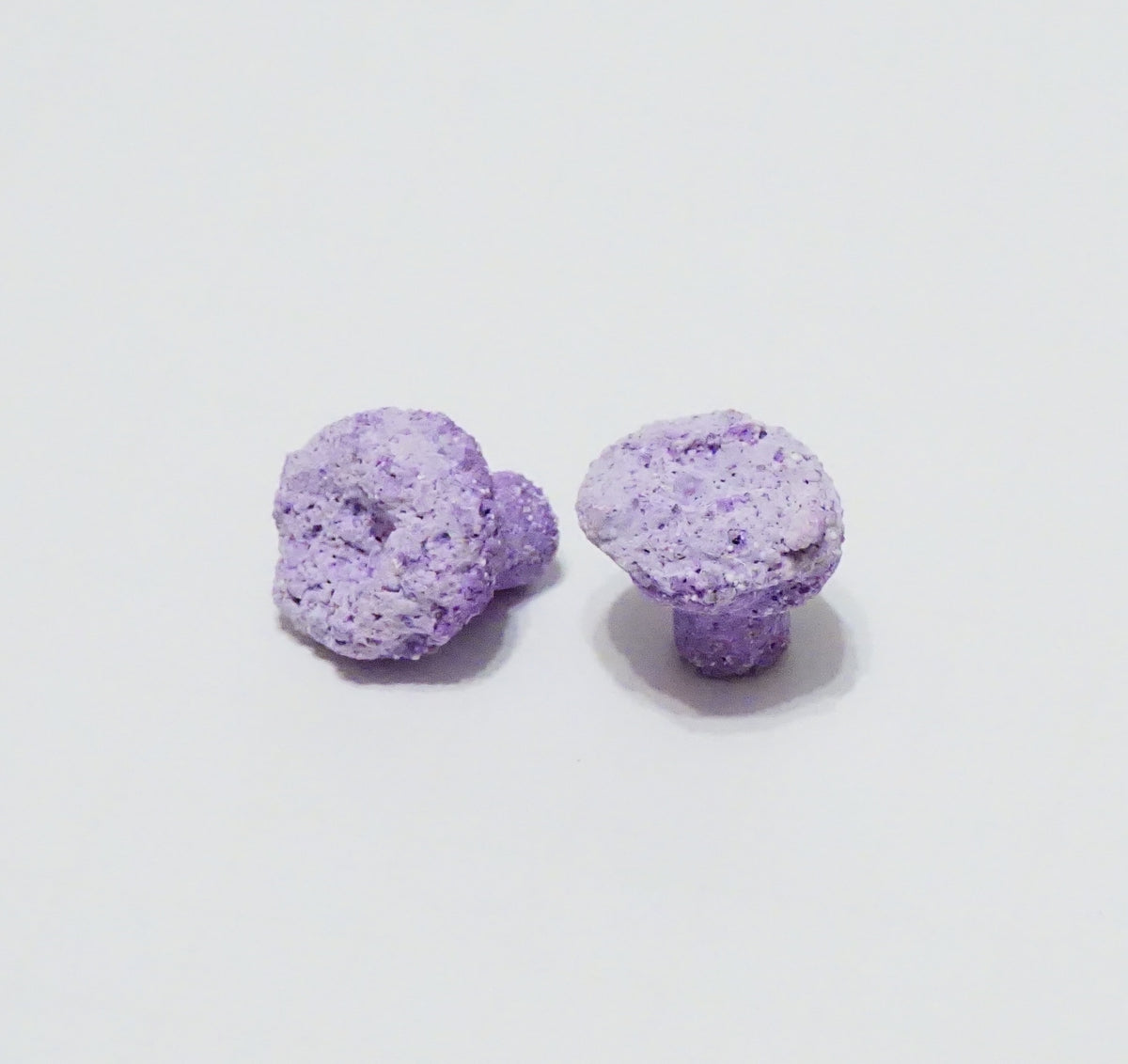 Purple Aragonite Frag Plugs – 1" Coral Frag Plugs