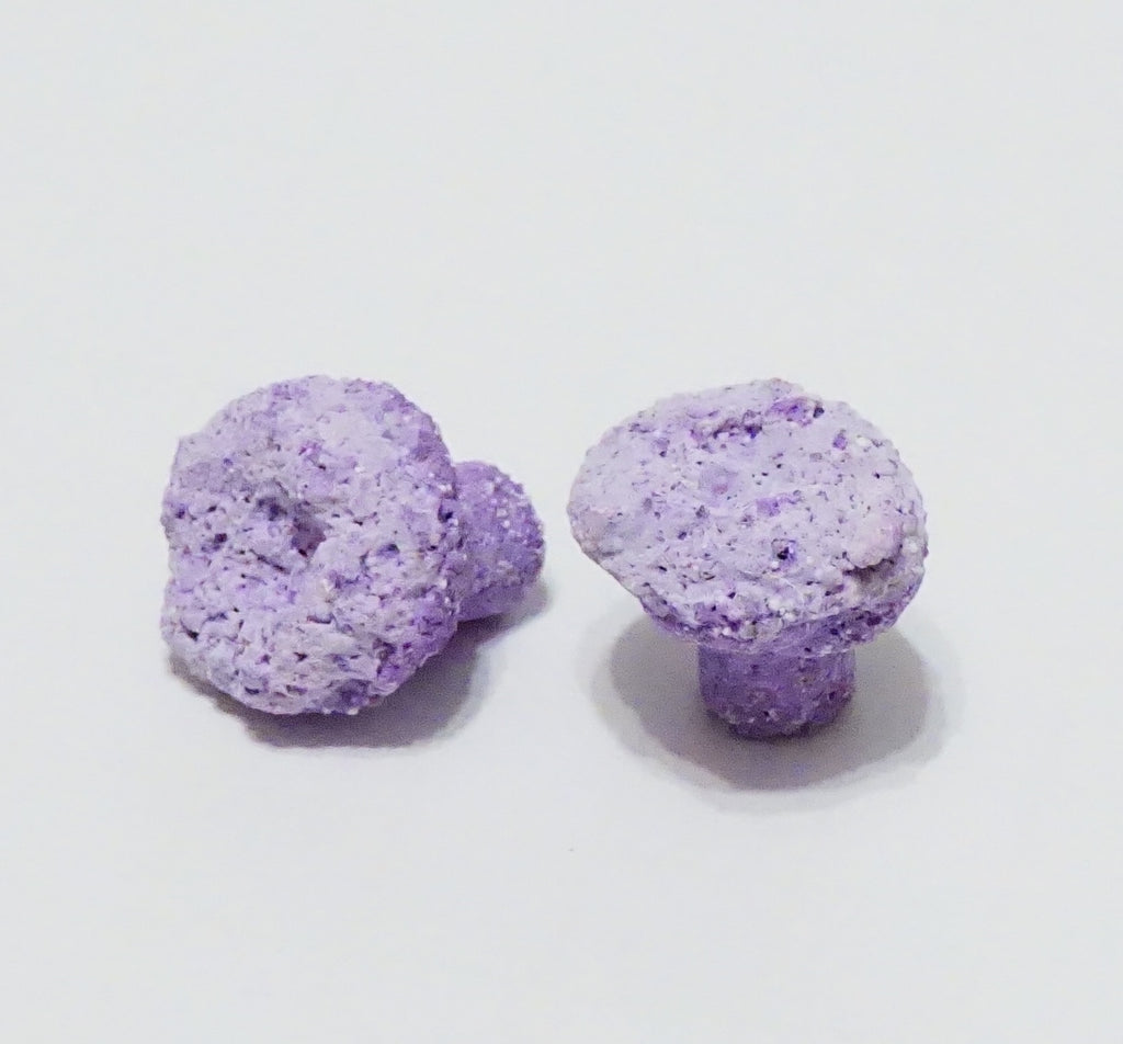 Purple Aragonite Frag Plugs – 1" Coral Frag Plugs