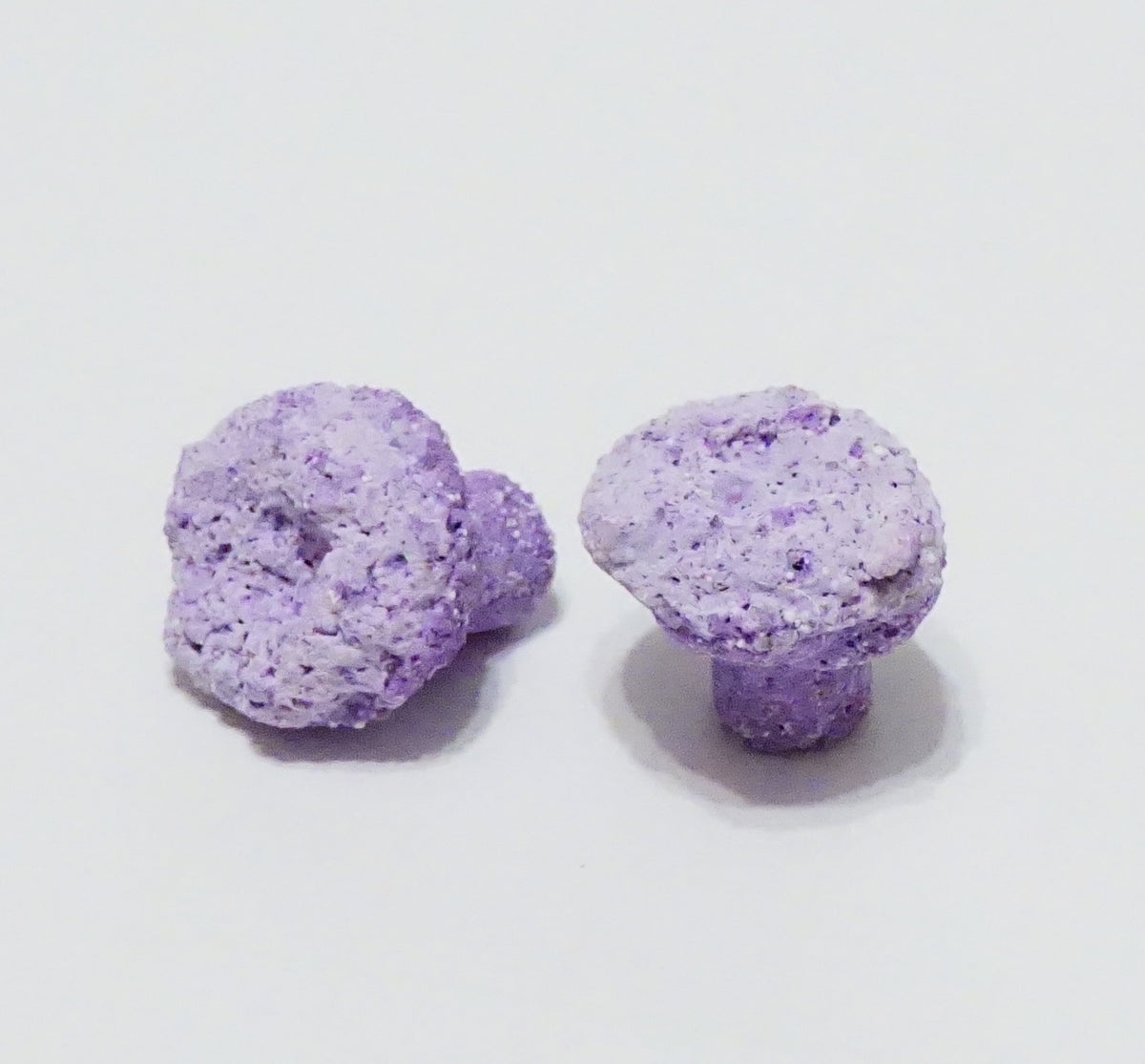 Purple Aragonite Frag Plugs – 1" Coral Frag Plugs