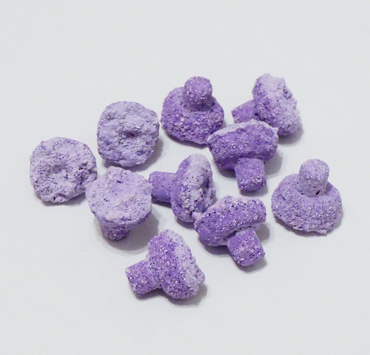 Purple Aragonite Frag Plugs – 1" Coral Frag Plugs