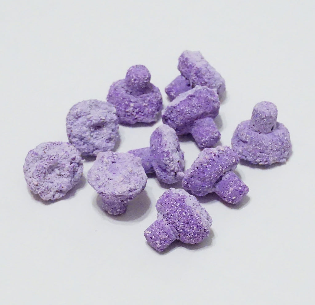 Purple Aragonite Frag Plugs – 1" Coral Frag Plugs