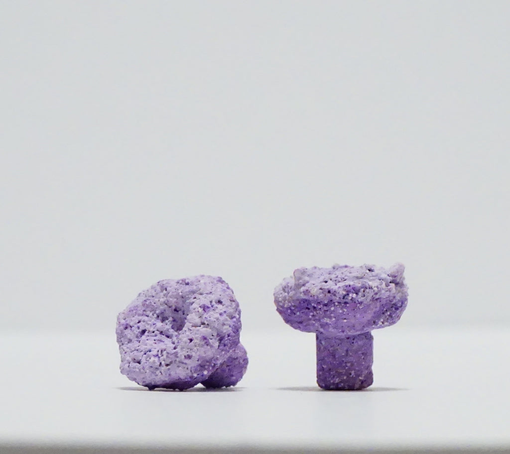 Purple Aragonite Frag Plugs – 1" Coral Frag Plugs
