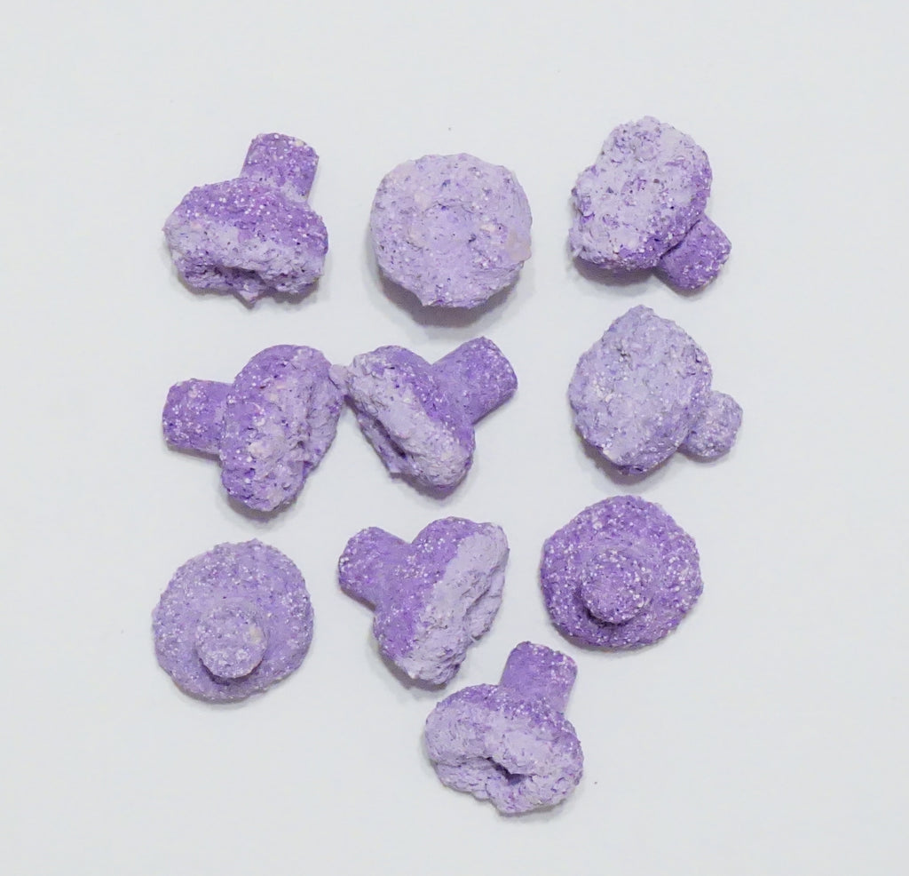 Purple Aragonite Frag Plugs – 1" Coral Frag Plugs