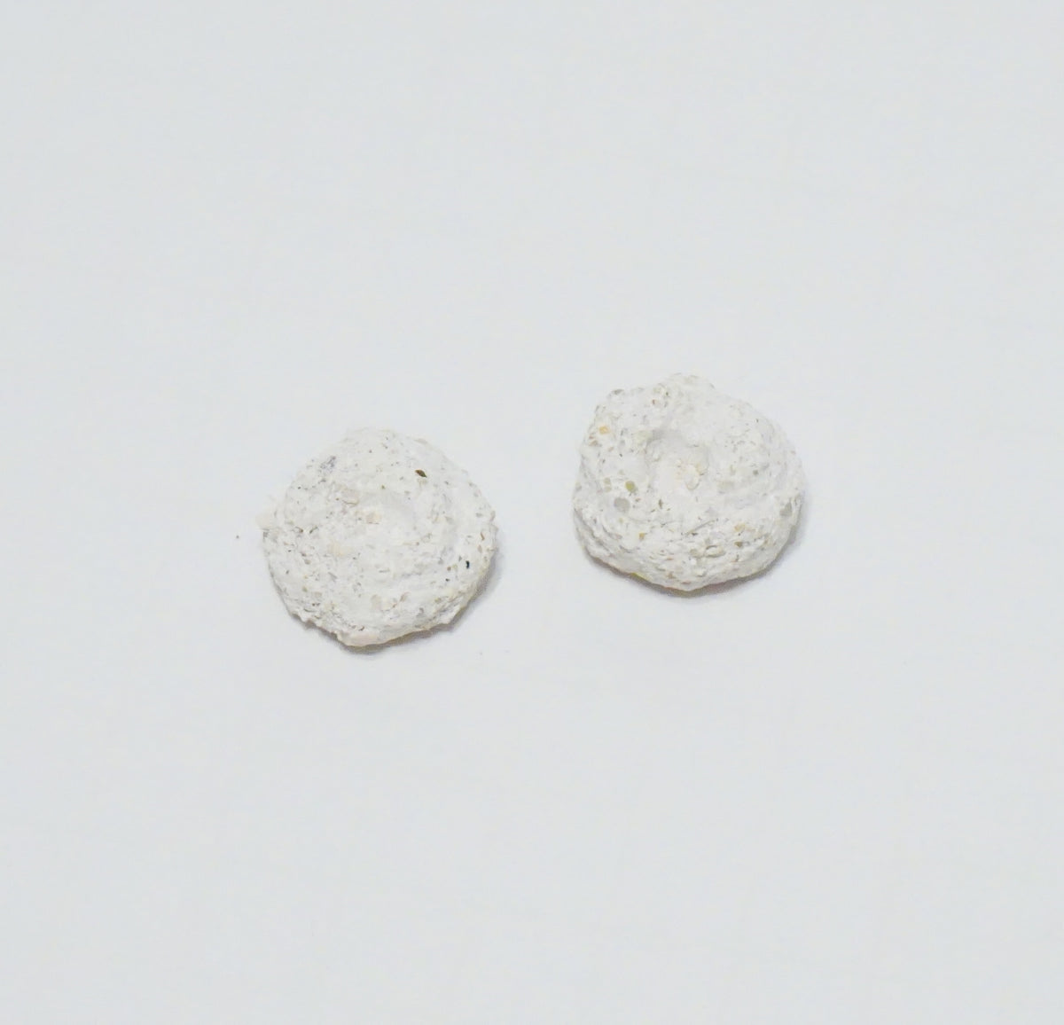 White Aragonite Frag Discs – 1" Coral Frag Mount Discs
