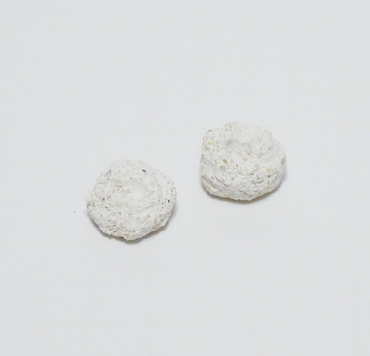 White Aragonite Frag Discs – 1" Coral Frag Mount Discs