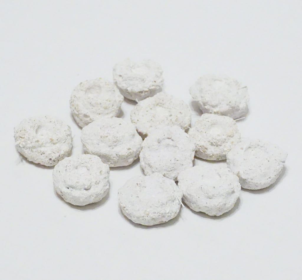 White Aragonite Frag Discs – 1" Coral Frag Mount Discs