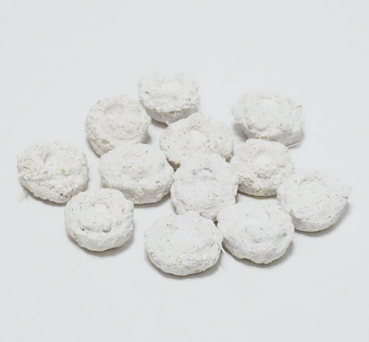 White Aragonite Frag Discs – 1" Coral Frag Mount Discs