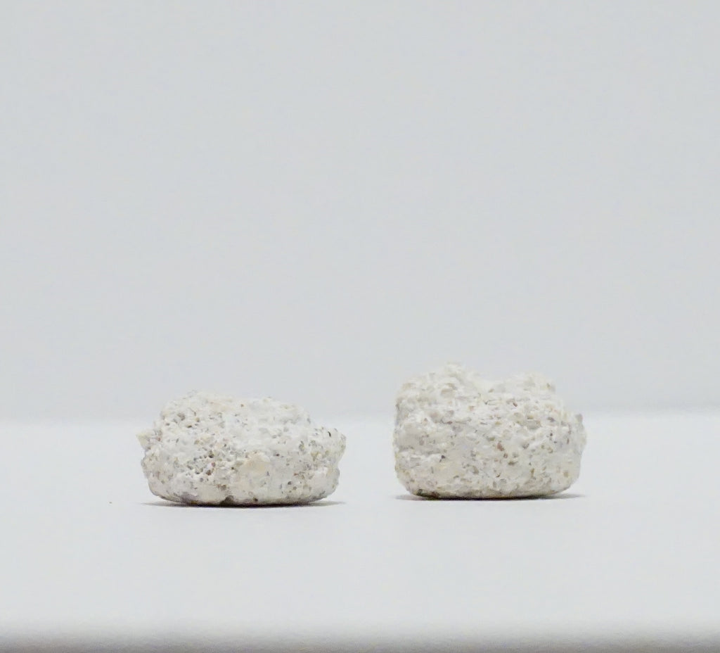 White Aragonite Frag Discs – 1" Coral Frag Mount Discs