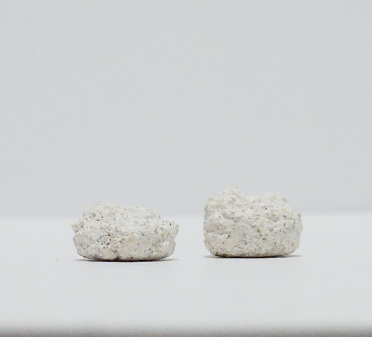 White Aragonite Frag Discs – 1" Coral Frag Mount Discs