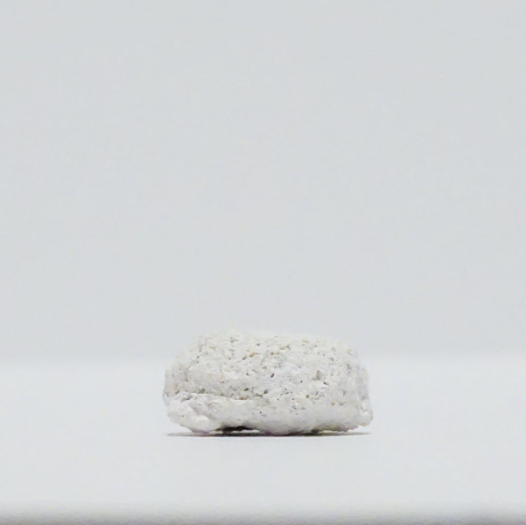 White Aragonite Frag Discs – 1" Coral Frag Mount Discs