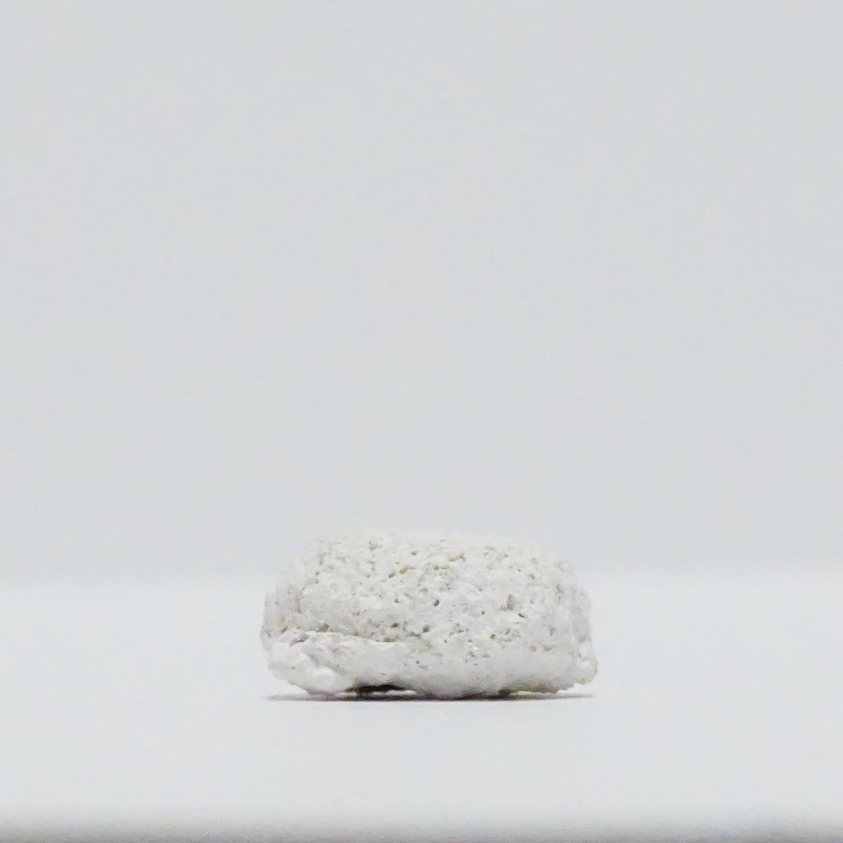 White Aragonite Frag Discs – 1" Coral Frag Mount Discs