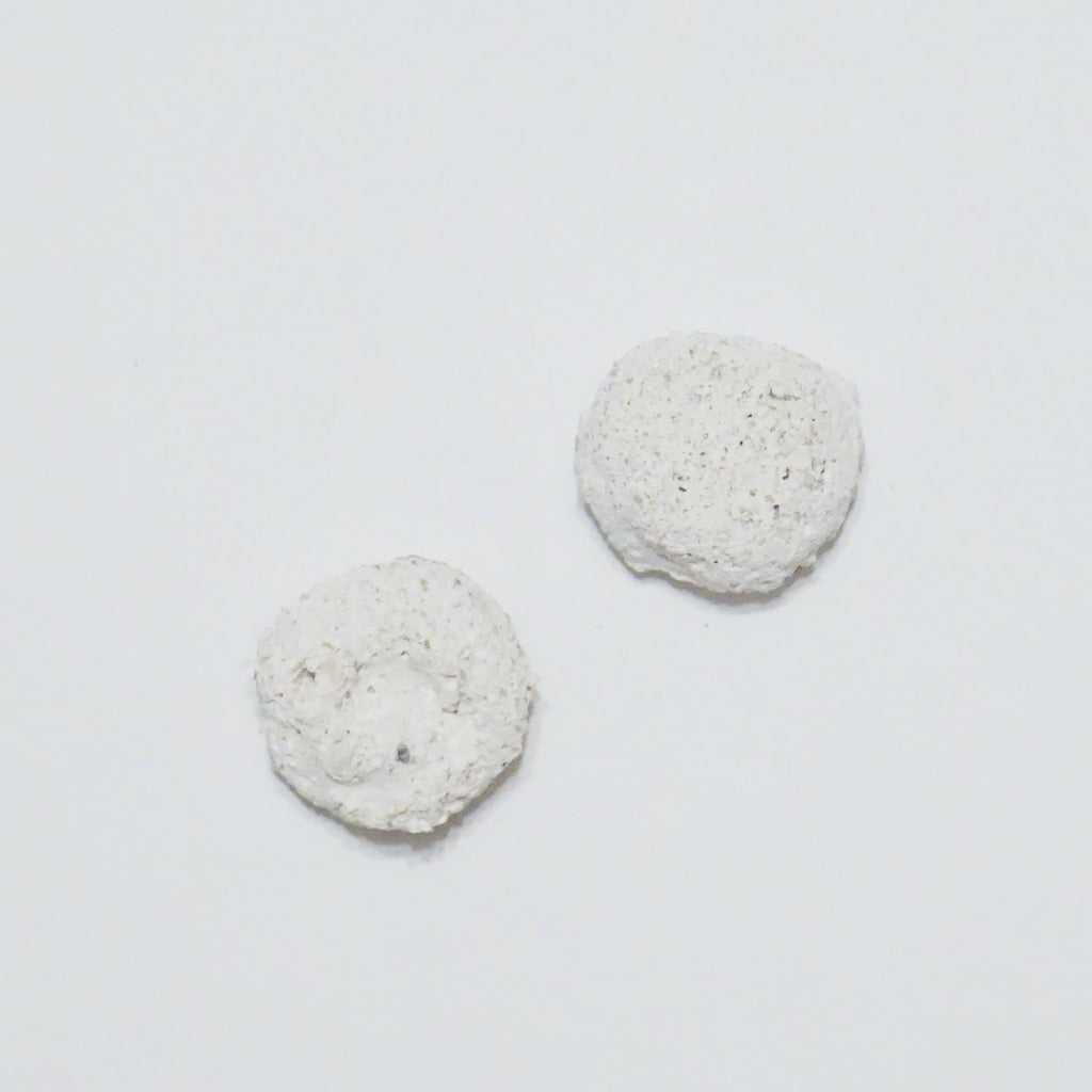 White Aragonite Frag Discs – 1" Coral Frag Mount Discs