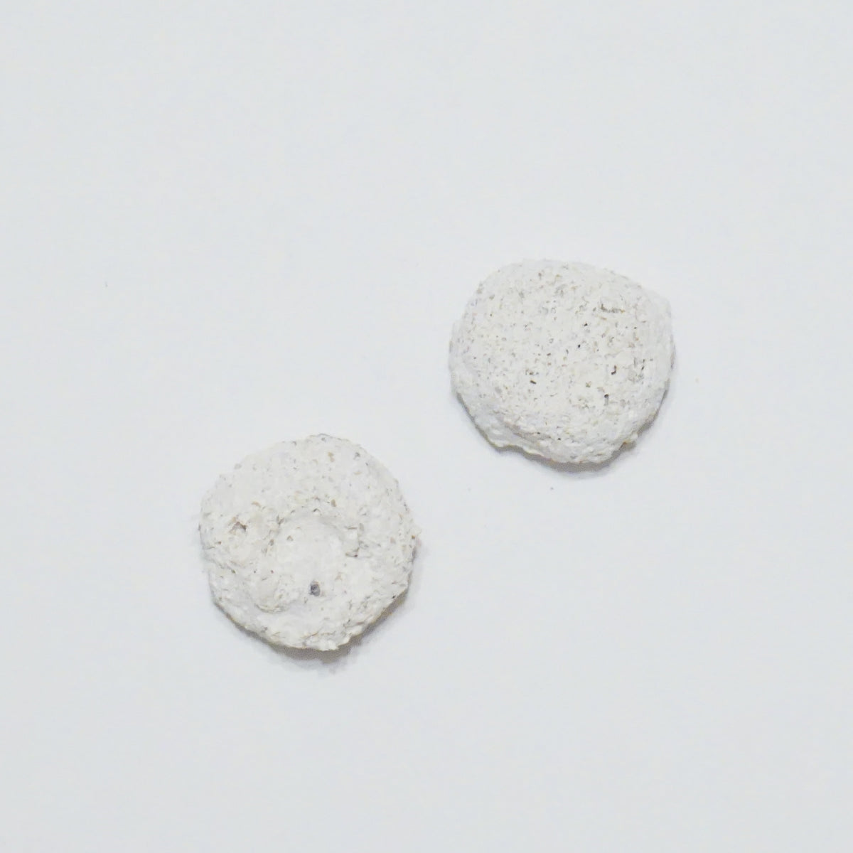White Aragonite Frag Discs – 1" Coral Frag Mount Discs