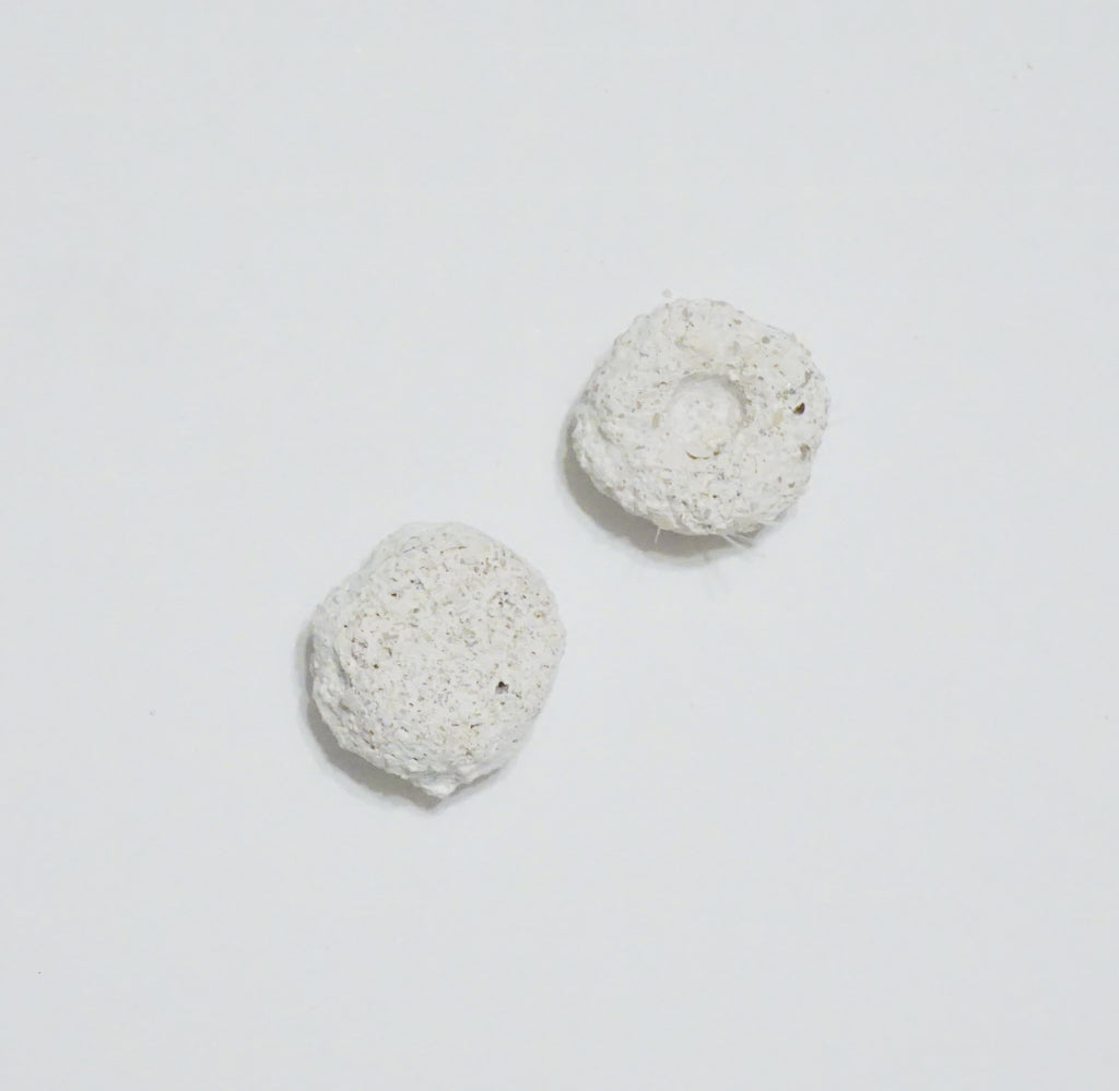 White Aragonite Frag Discs – 1" Coral Frag Mount Discs