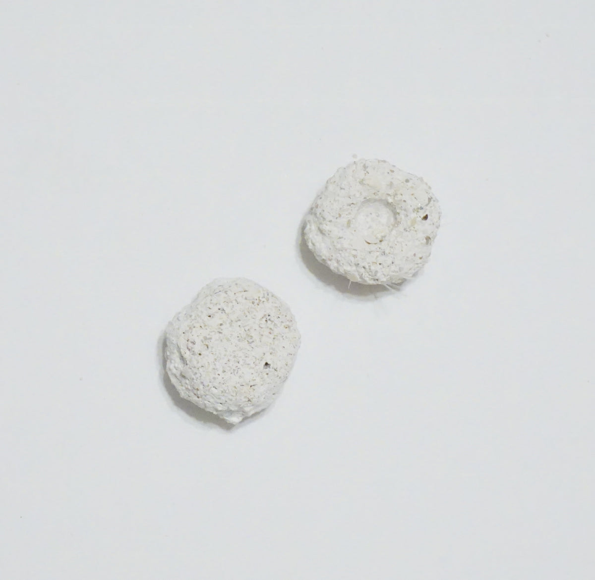 White Aragonite Frag Discs – 1" Coral Frag Mount Discs