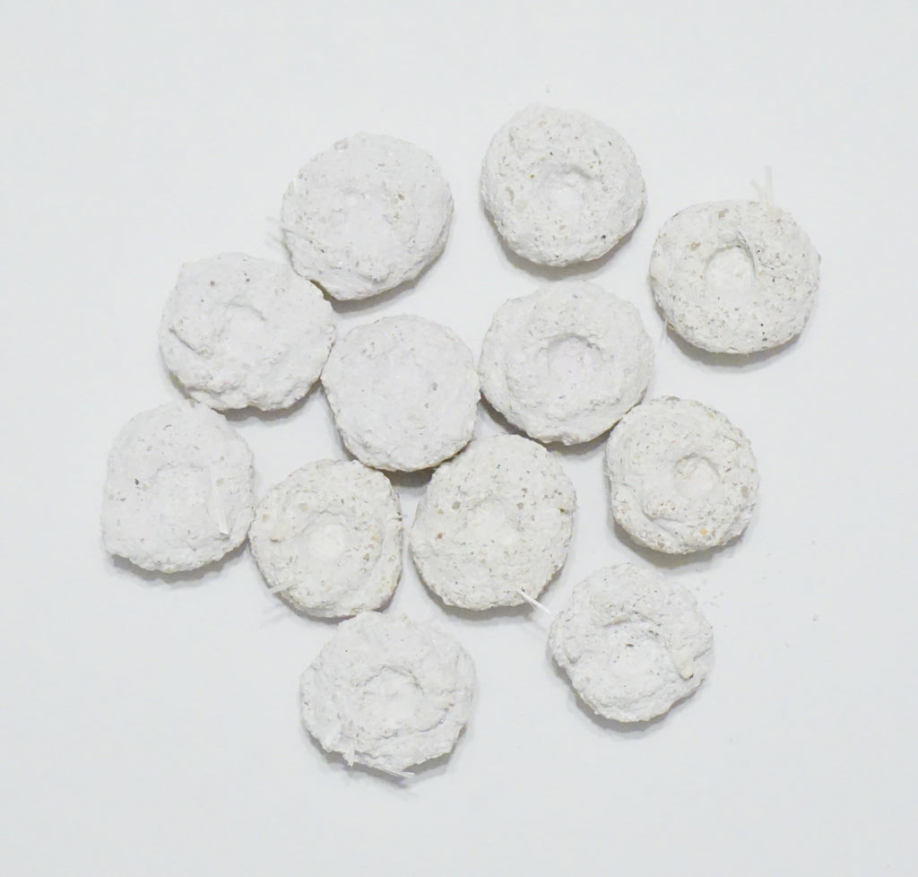 White Aragonite Frag Discs – 1" Coral Frag Mount Discs