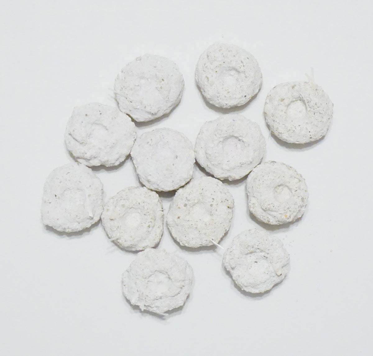 White Aragonite Frag Discs – 1" Coral Frag Mount Discs