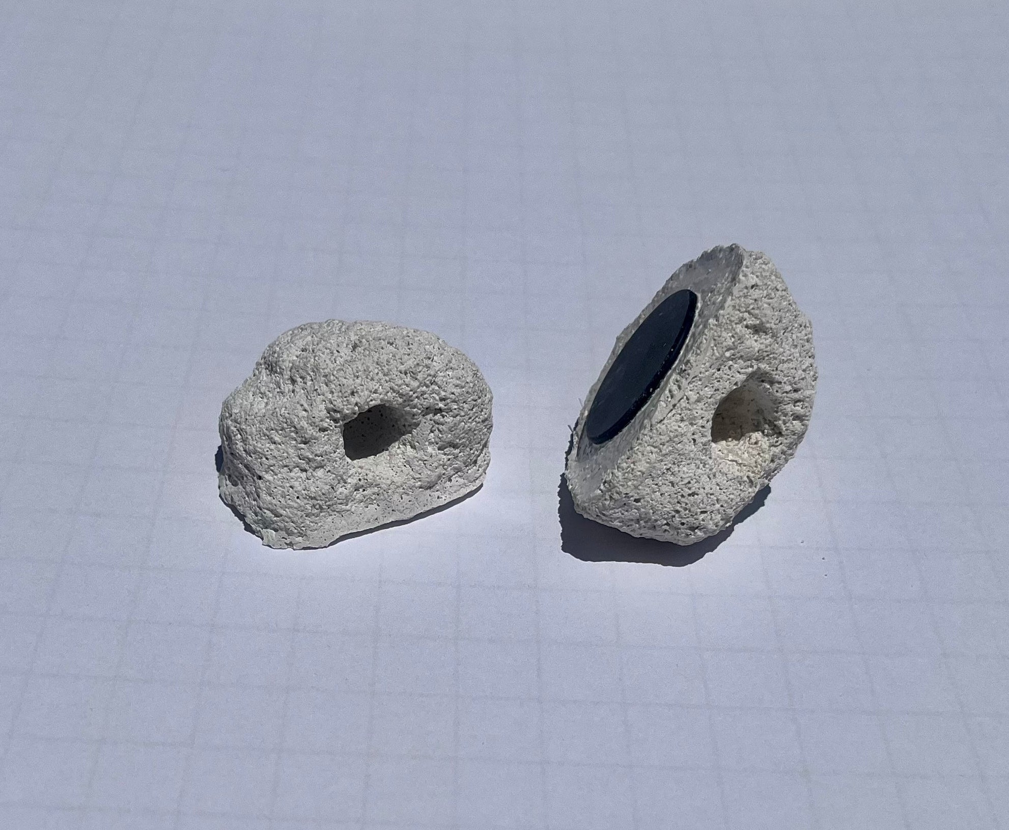 Coral Fragging Kit – Bone Cutters, Glue, Magnetic Frag Rock & Frag Plugs