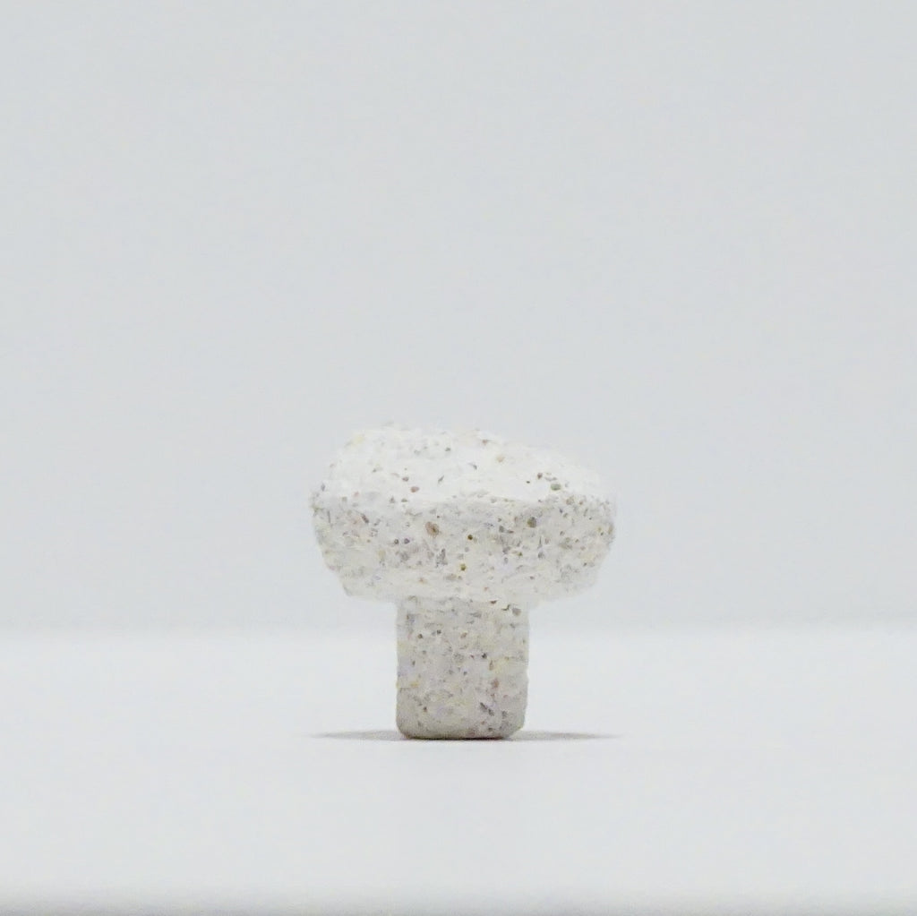 White Aragonite Frag Plugs – 1" Coral Frag Plugs