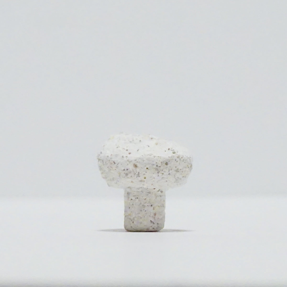 White Aragonite Frag Plugs – 1" Coral Frag Plugs