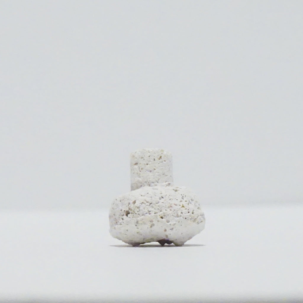 White Aragonite Frag Plugs – 1" Coral Frag Plugs