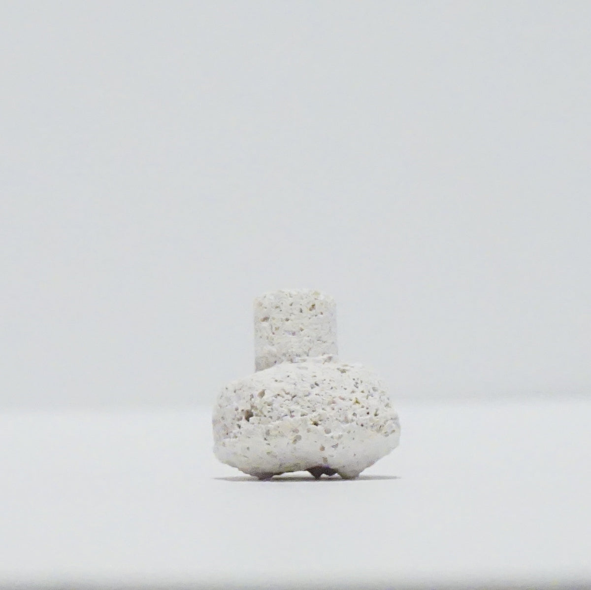 White Aragonite Frag Plugs – 1" Coral Frag Plugs