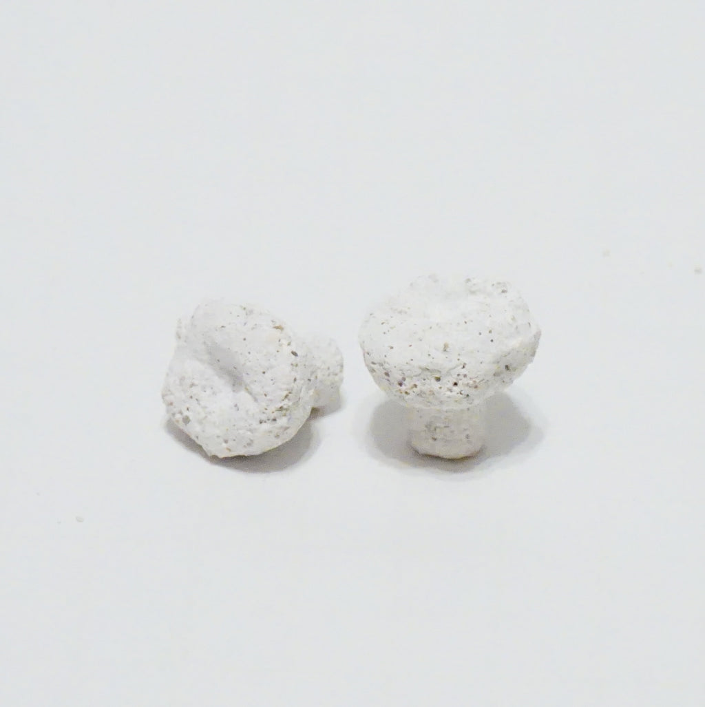 White Aragonite Frag Plugs – 1" Coral Frag Plugs