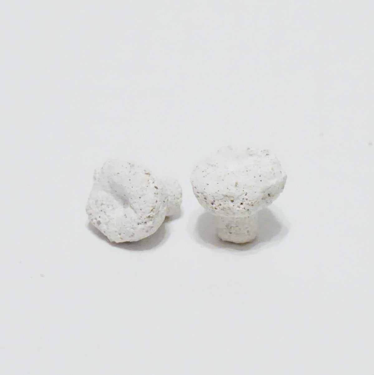 White Aragonite Frag Plugs – 1" Coral Frag Plugs